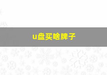 u盘买啥牌子