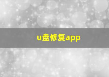 u盘修复app