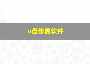 u盘修复软件