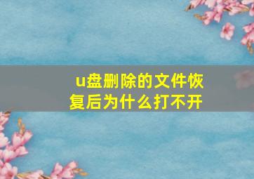 u盘删除的文件恢复后为什么打不开