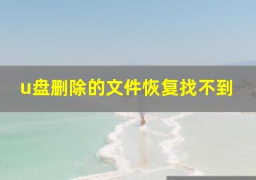 u盘删除的文件恢复找不到