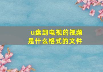 u盘到电视的视频是什么格式的文件