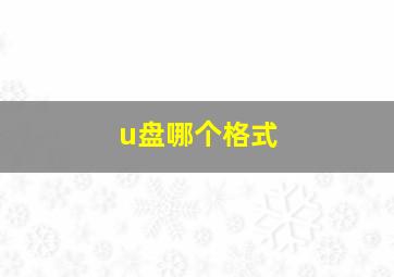 u盘哪个格式