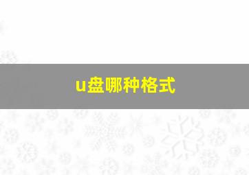 u盘哪种格式