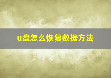 u盘怎么恢复数据方法