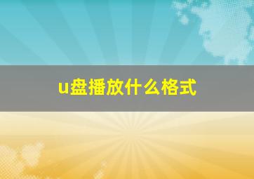 u盘播放什么格式