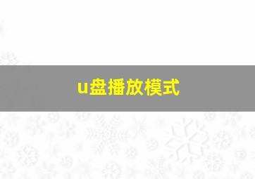 u盘播放模式