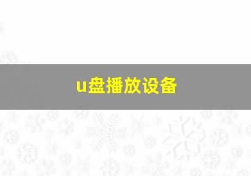 u盘播放设备