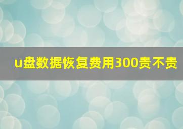 u盘数据恢复费用300贵不贵