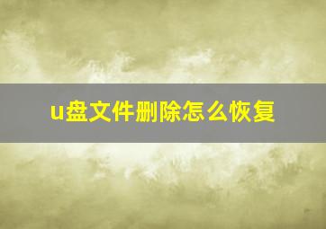 u盘文件删除怎么恢复