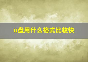 u盘用什么格式比较快