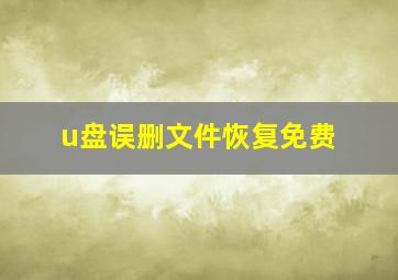 u盘误删文件恢复免费