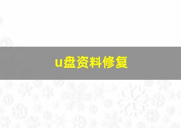 u盘资料修复