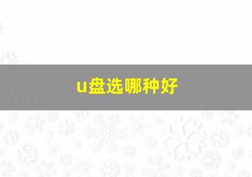 u盘选哪种好