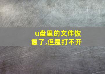 u盘里的文件恢复了,但是打不开