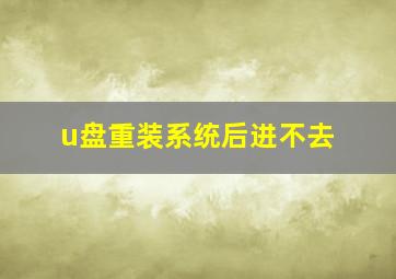 u盘重装系统后进不去