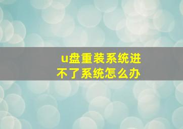 u盘重装系统进不了系统怎么办