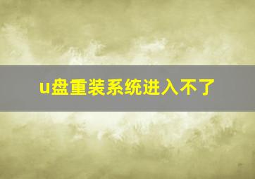 u盘重装系统进入不了