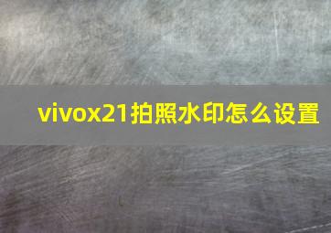 vivox21拍照水印怎么设置