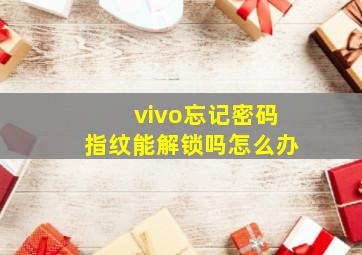 vivo忘记密码指纹能解锁吗怎么办