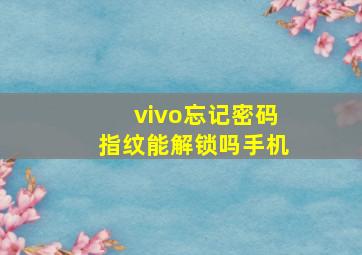 vivo忘记密码指纹能解锁吗手机