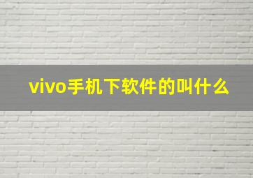 vivo手机下软件的叫什么