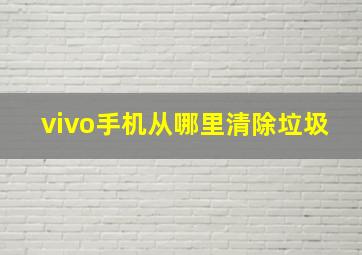 vivo手机从哪里清除垃圾