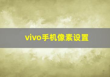 vivo手机像素设置