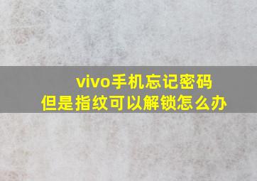 vivo手机忘记密码但是指纹可以解锁怎么办