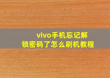 vivo手机忘记解锁密码了怎么刷机教程