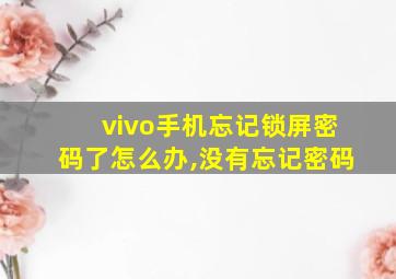 vivo手机忘记锁屏密码了怎么办,没有忘记密码