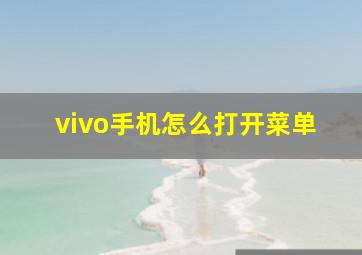 vivo手机怎么打开菜单