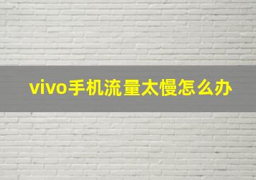 vivo手机流量太慢怎么办