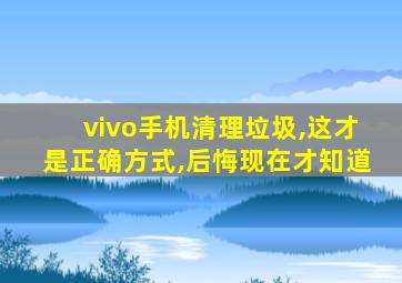 vivo手机清理垃圾,这才是正确方式,后悔现在才知道