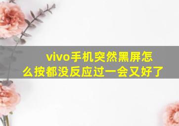 vivo手机突然黑屏怎么按都没反应过一会又好了