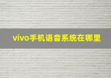 vivo手机语音系统在哪里