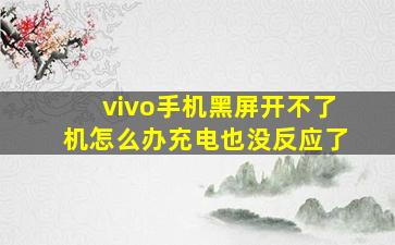 vivo手机黑屏开不了机怎么办充电也没反应了