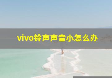 vivo铃声声音小怎么办