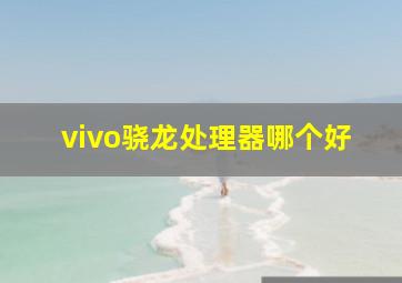 vivo骁龙处理器哪个好