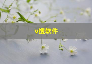 v搜软件