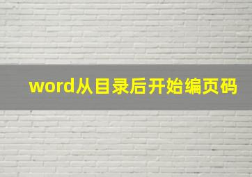 word从目录后开始编页码