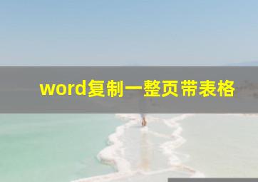 word复制一整页带表格