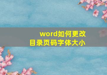 word如何更改目录页码字体大小