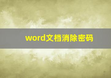 word文档消除密码