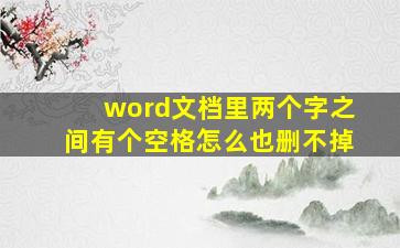 word文档里两个字之间有个空格怎么也删不掉