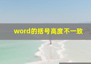 word的括号高度不一致