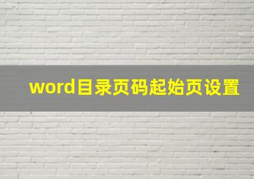 word目录页码起始页设置