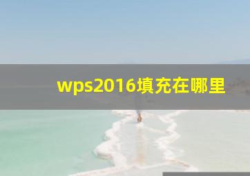 wps2016填充在哪里