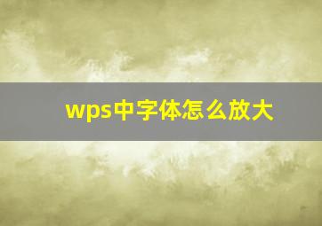 wps中字体怎么放大