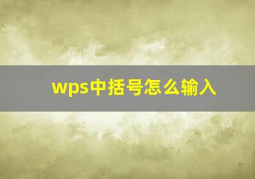 wps中括号怎么输入